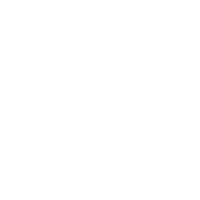 Same Day Shipping Icon