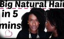 Hairstyles Under 5 mins: Big Natural Hair Twistout using Clip Ins on 4c Hair