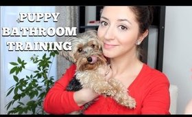 HOW TO BATHROOM TRAIN YOUR PUPPY | ARE PEE PADS GOOD?