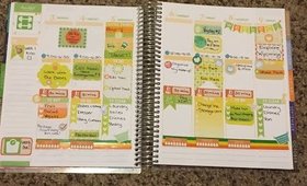 Planner Overview | Aug 3-9 | Erin Condren Life Planner