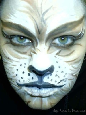 Cat makeup.