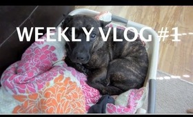 "What do you have to say for yourself?" Weekly Vlog #1