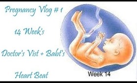 Pregnancy Vlog #1  Baby's Heart Beat May 22 2013