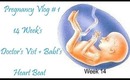 Pregnancy Vlog #1 Doctor's vist 14 weeks 6 days May 22 2013