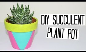 DIY Succulent Pot - Summer Inspiration Series!