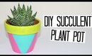 DIY Succulent Pot - Summer Inspiration Series!