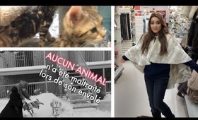 ❄VLOGMAS - Jour 16❄ L'envolée du chien + Poncho mystère...