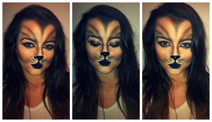 Suitable as an easily achieved Halloween look using golden brown shadows and black eye liners!
