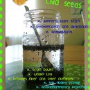 Chia seeds- If u don't know, u betta ask somebody!