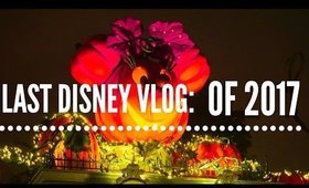 Last Disney Vlog of 2017! | Look Inside Monsters After Dark | Rosa Klochkov