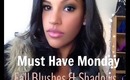 Must Have Monday: Fall Eyeshadows and Blushes + Bloopers