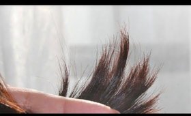 How to Get Rid of Split Ends? -  5 Home Remedies & Hacks  For Split Ends Treatment