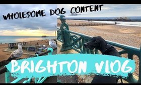 Brighton Vlog - Dogsitting, Selfcare & Charity Shop Haul | MarieDrax