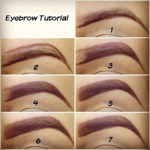 1) Outline the bottom with eyebrow pencil. 2) Outline the top. 3) Fill in leaving a little bit blank. 4) Using an angled brush fill in with brown eyeshadow. 5) Remove excess of product on your brush and brushing upwards gently fill in the blank spot for a “natural look” 6) Using a concealer brush clean the edges with a little bit of concealer. 7) Blend in the concealer and you’re done!