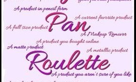 Project Pan Roulette, Update #3