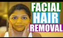 Turmeric Facial Hair Removal At Home | SuperPrincessjo