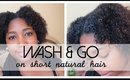 Wash & Go on Short Natural Hair | Quick | Jessica Chanell