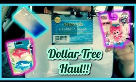 Dollar Tree Haul | Homeschool Supplies & other Random Things