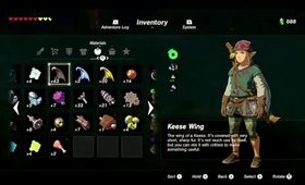 Girl Plays Zelda: Breath of the Wild BLIND STREAM Playthrough.. (The "I suck" edition) PART 7