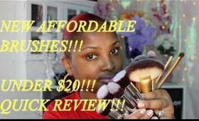 Royal Care Cosmetics Brushes!!!!! GREAT AFFORDABLE BRUSHES!!!! UNDER $20!!!!