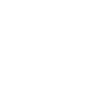 DTC Icon