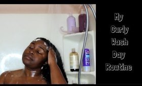 THE BEST WASH DAY ROUTINE FOR DRY CURLY HAIR | 2017 NATURAL HAIR WASH DAY ROUTINE