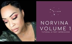 #Norvina ABH Vol 1 Tutorial & First Impressions