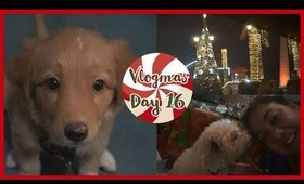 A Christmas Puppy Surprise // Vlogmas Day 16 | fashionxfairytale