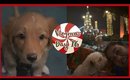 A Christmas Puppy Surprise // Vlogmas Day 16 | fashionxfairytale