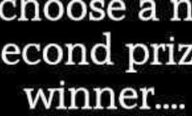 Spring Summer 2012 New Second Prize Winner Announcement!!!!