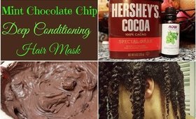 DIY Homemade Mint Chocolate Chip Light Protein Deep Conditioning Hair Mask