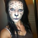 Here Kitty Kitty 