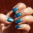 Blue Zebra Nails