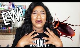 STORYTIME  Roaches in my food! TRAUMA!