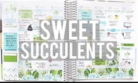 SWEET SUCCULENTS PLAN WITH ME