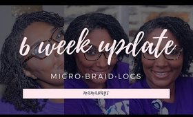 6 Week Microbraid Loc  Update