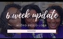 6 Week Microbraid Loc  Update