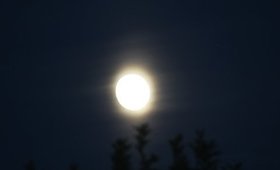 Full  Moon shots I Got Tonight ;) By  Me