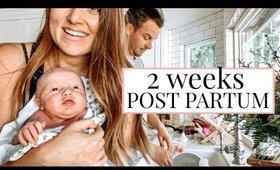 DAY IN THE LIFE WITH A NEWBORN AND TWIN TODDLERS! 2 WEEKS POST PARTUM | Kendra Atkins