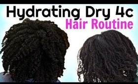 DRY 4C HAIR QUICK FIX | How To Hydrate & MOISTURIZE DRY Natural HAIR Routine