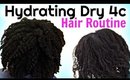 DRY 4C HAIR QUICK FIX | How To Hydrate & MOISTURIZE DRY Natural HAIR Routine