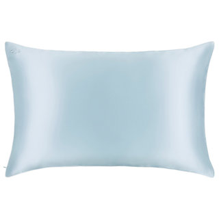 Queen/Standard Silk Pillowcase Seabreeze