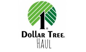 Dollar Tree Haul [July 18  2014]