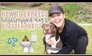 How To Express A Dog's Bladder Part 2 | Handicapped Pets