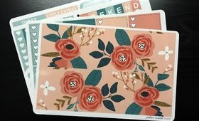 Plan with Tam New Release | June Bloom