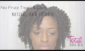 Frizz Free Twist & Curl Tutorial l TotalDivaRea