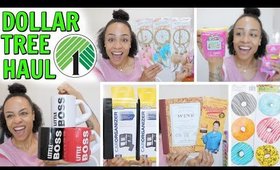 DOLLAR TREE HAUL! WHAT IS NEW IN STORE! SMALL BUT UNBELIEVABLE ITEMS!