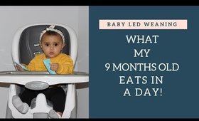 What my 9 month old eats in a day | Baby led weaning