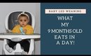 What my 9 month old eats in a day | Baby led weaning
