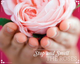 Stop and Smell the Roses